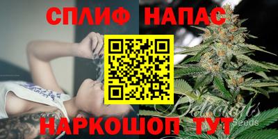 ECSTASY Аргун
