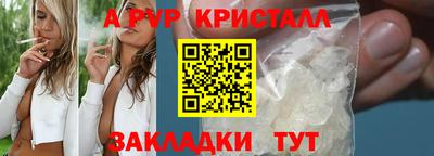 ECSTASY Аргун