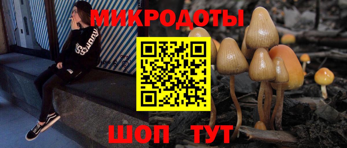 Верхняя Пышма  Галлюциногенные грибы Psilocybe  Вход с VPN  Псилоцибиновые грибы GOLDEN TEACHER 