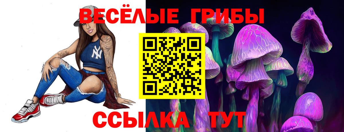 Псилоцибиновые грибы Psilocybine cubensis Верхняя Пышма